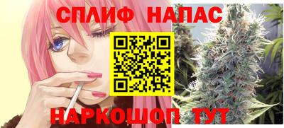 дмт Тверь