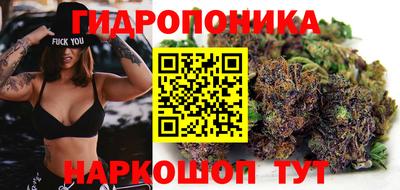ECSTASY Туймазы