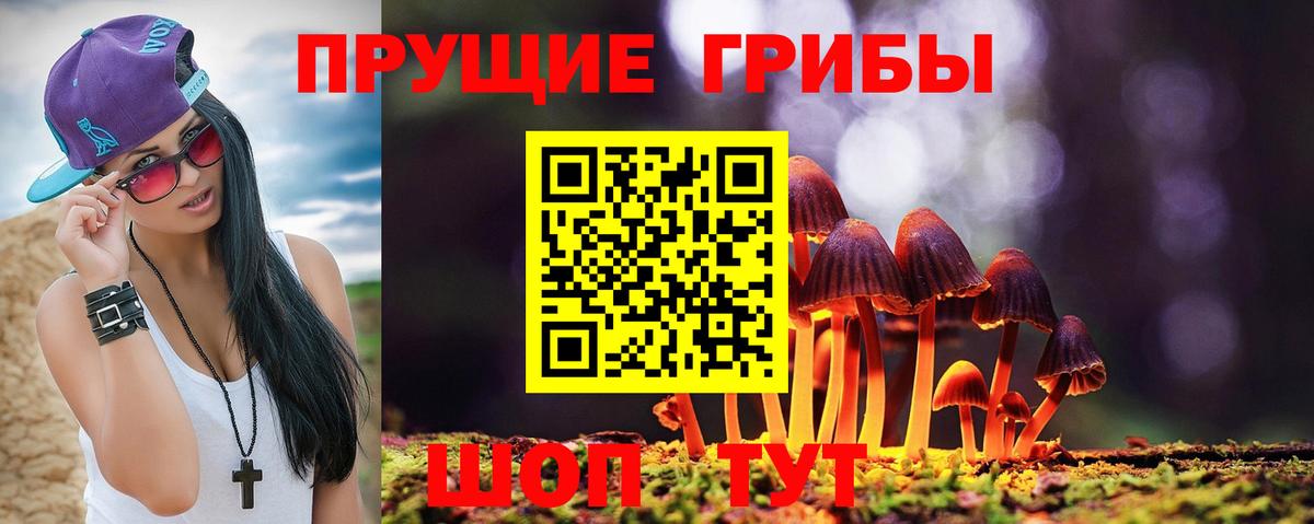 Нефтекумск  Псилоцибиновые грибы ЛСД  Вход с VPN 